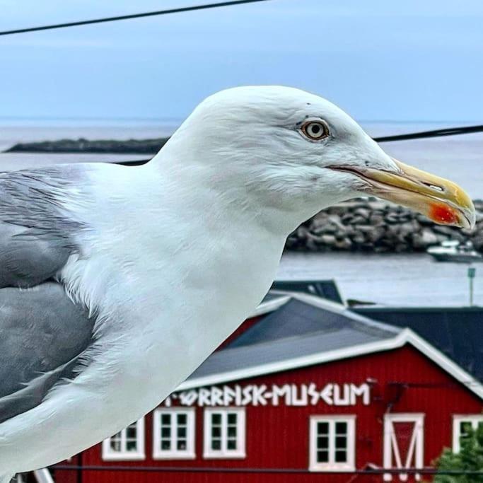 A, The Far End Of Lofoten, Top Apartment. Sorvagen Exterior photo